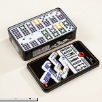 ZOOCEN Double 9 Color Dot Dominoes in Collectors Tin Set of 55 Dominoes Game  B07F5SFN7L